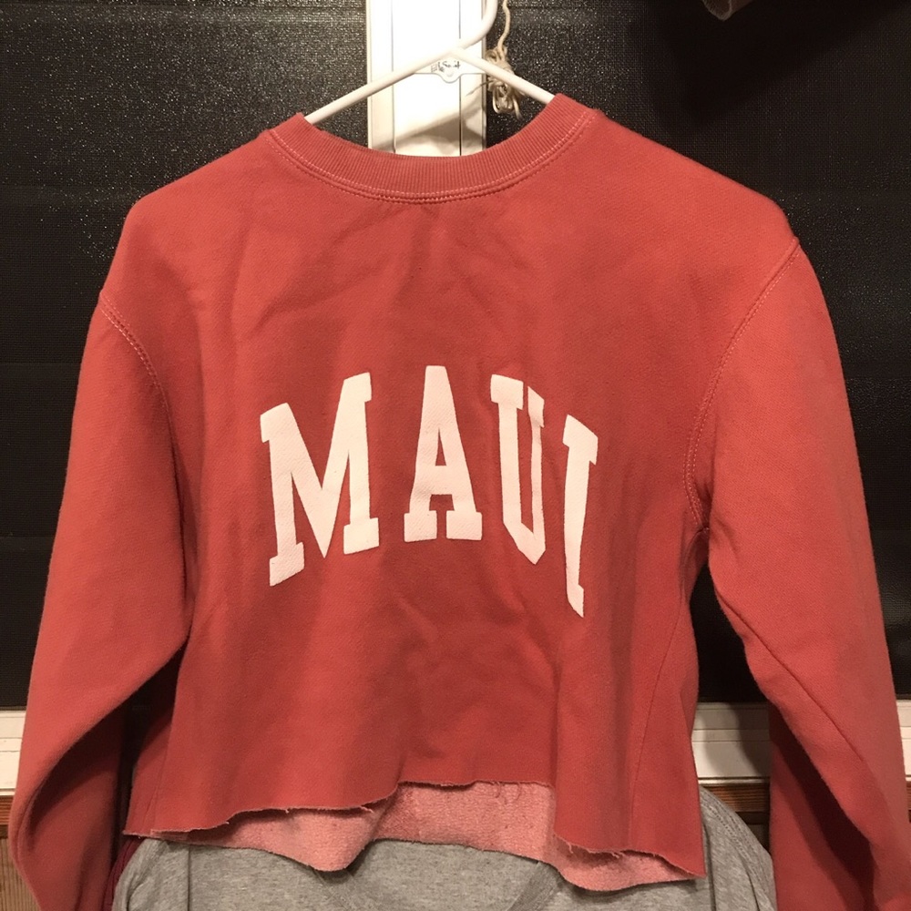 Brandy Melville long sleeve crop top